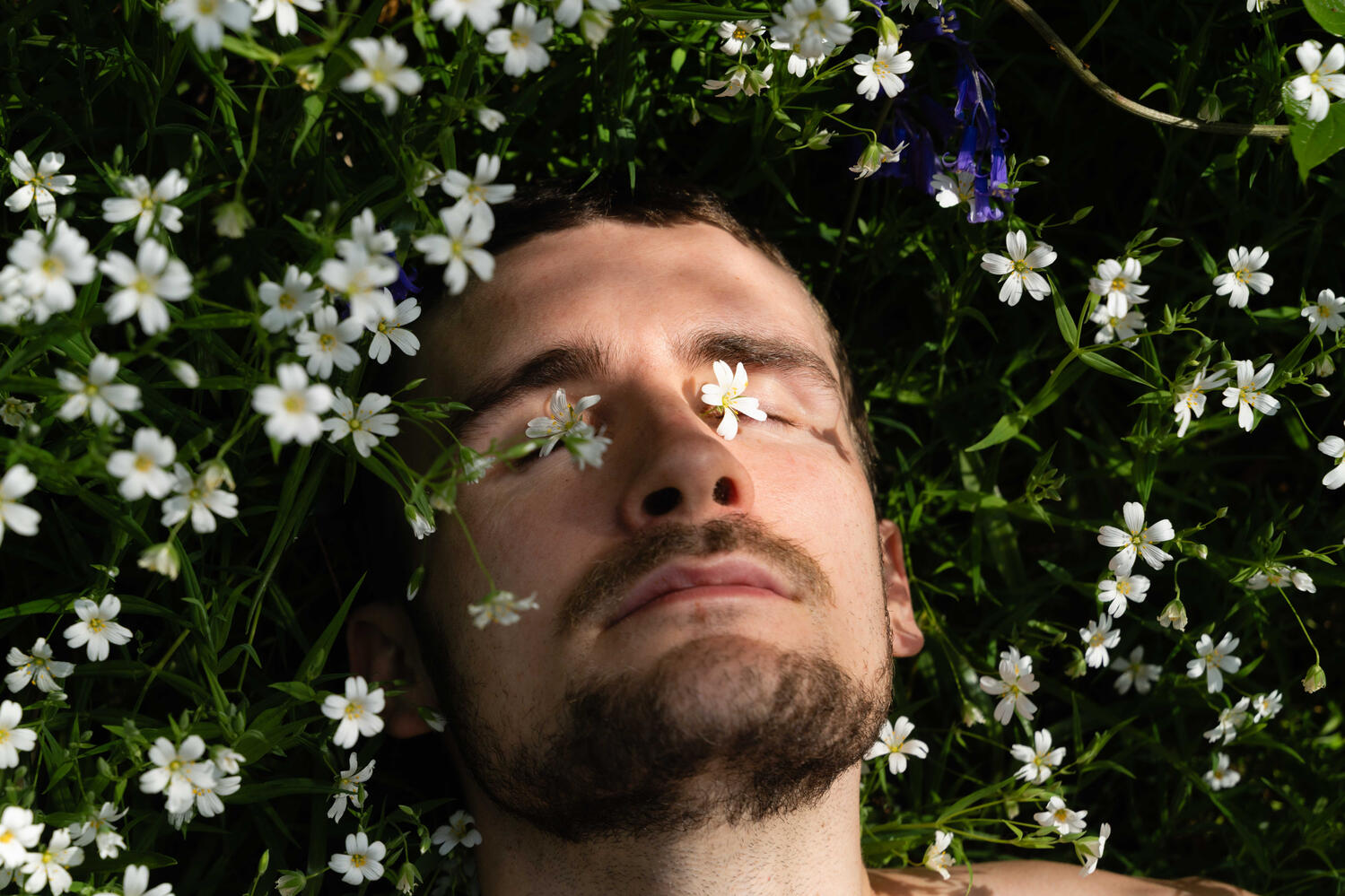 Shaun Hill Somatic Eco Poet | Meadow 2025 Poet Shaun Hill finding somatic rest in a patch of wildflowers. Surrendering in sunlight as petals cover his eyes.